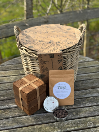 English Roses Seedball Wildflower Basket Planting Kit