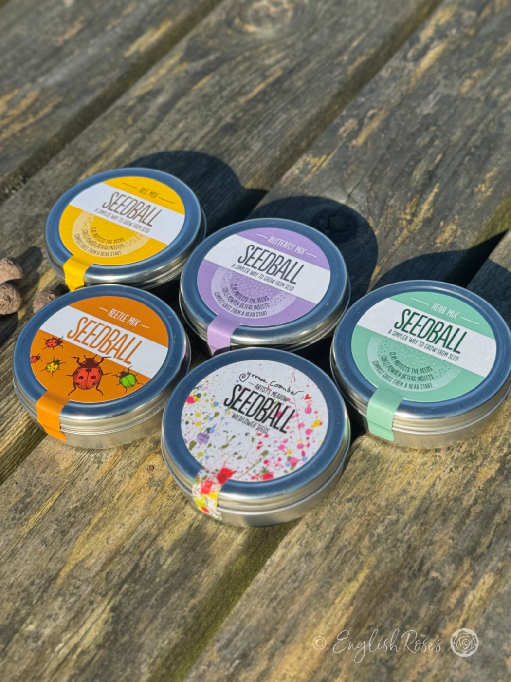 Seedball All Tins Wildflower Seeds - Bee mix, butterfly mix, beetle mix, wildflower meadow and herb mix.