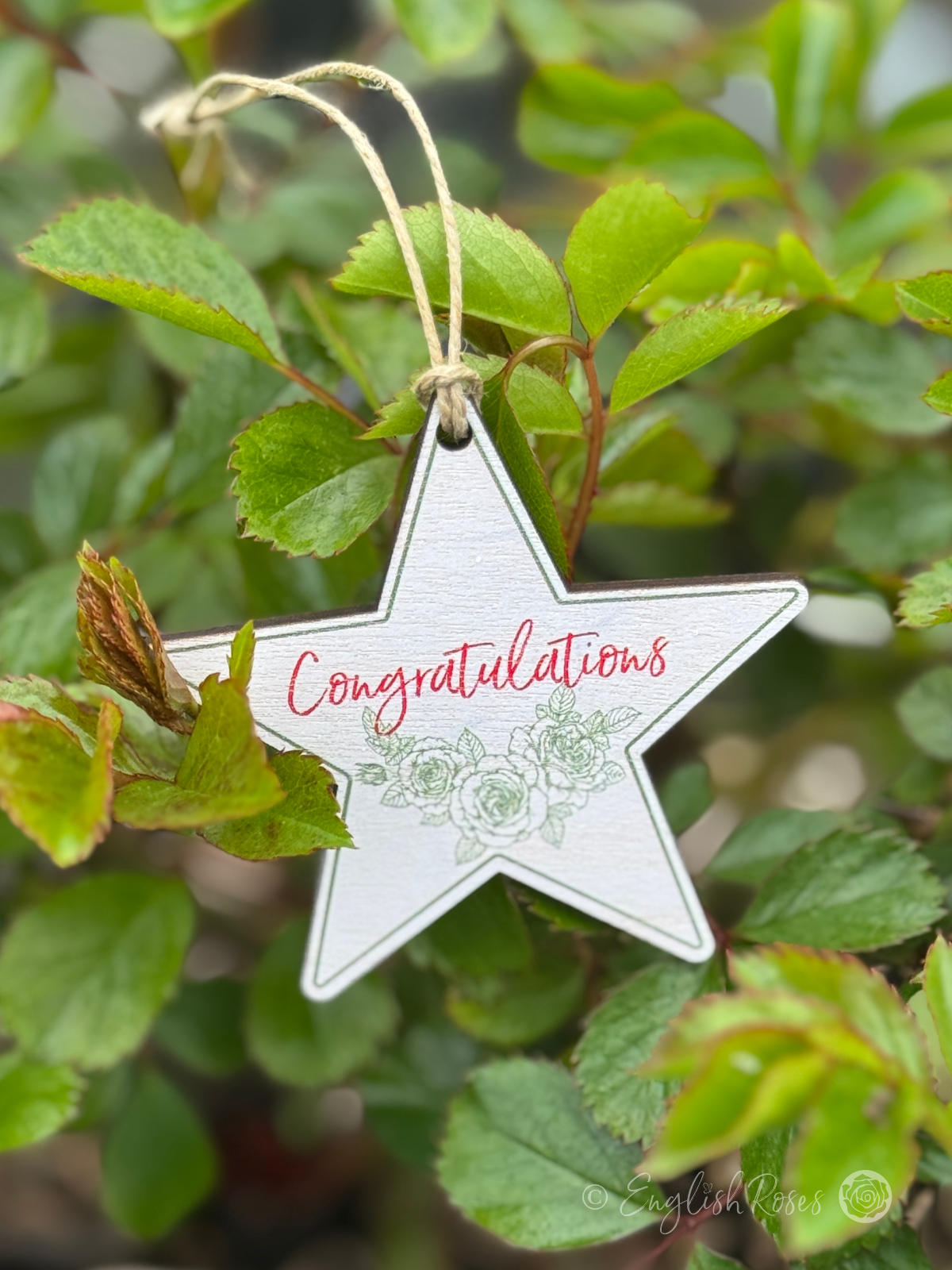English Roses Congratulations Wooden Gift Tag