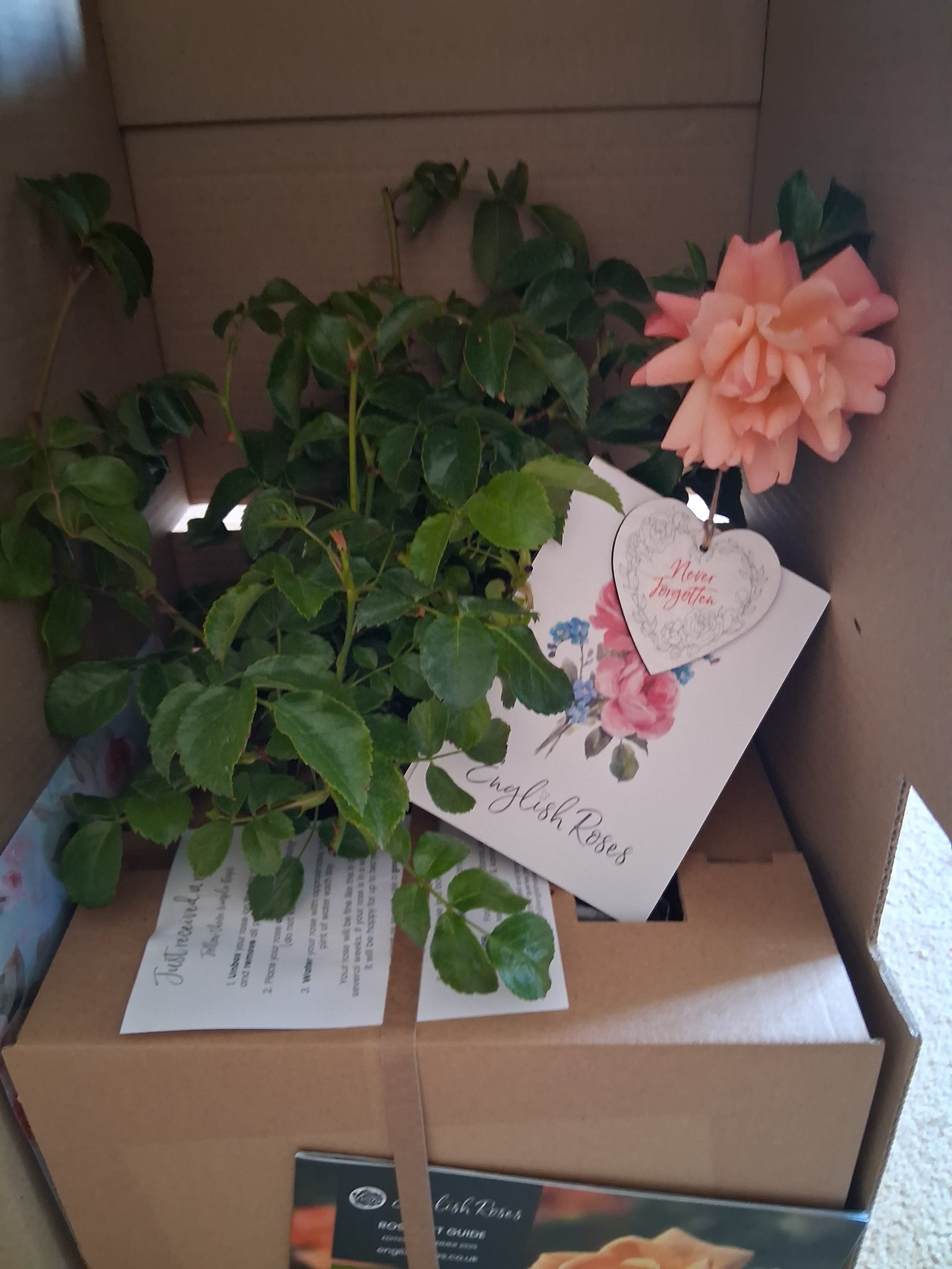 In Memory Of A Perfect Pet Gift