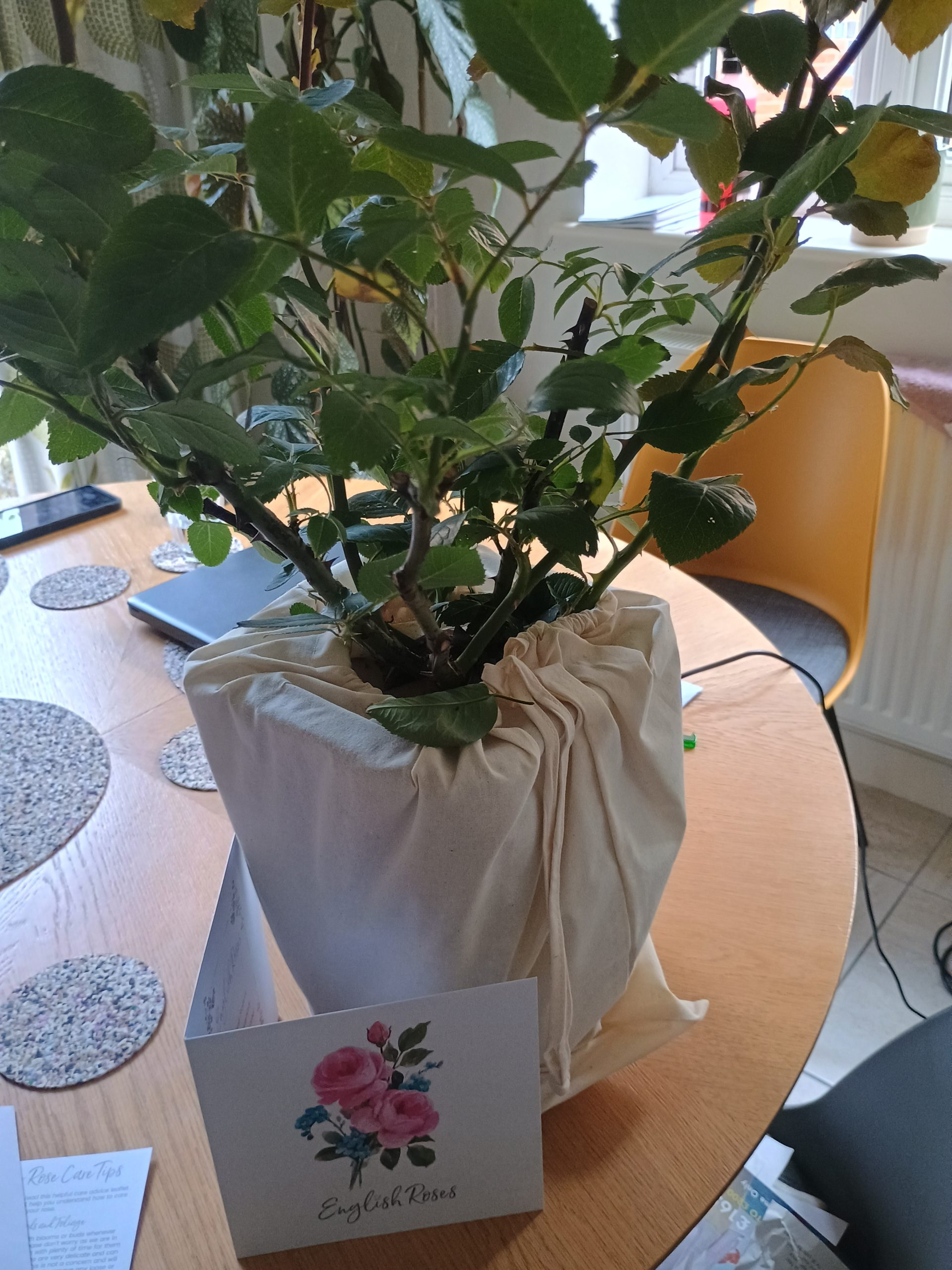 'English Roses' Greetings Card