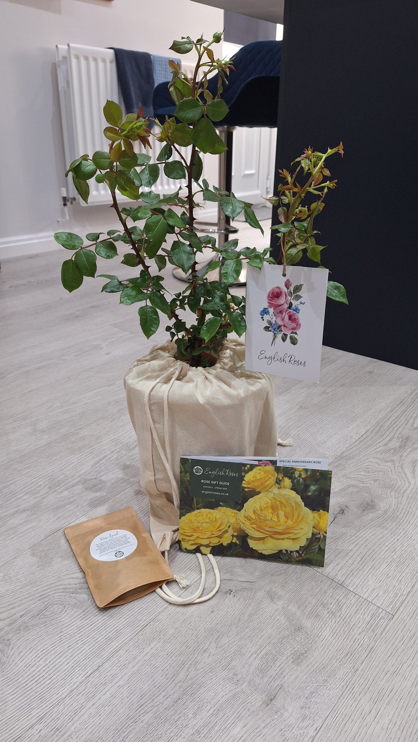 Pearl Rose - 30th Wedding Anniversary Gift