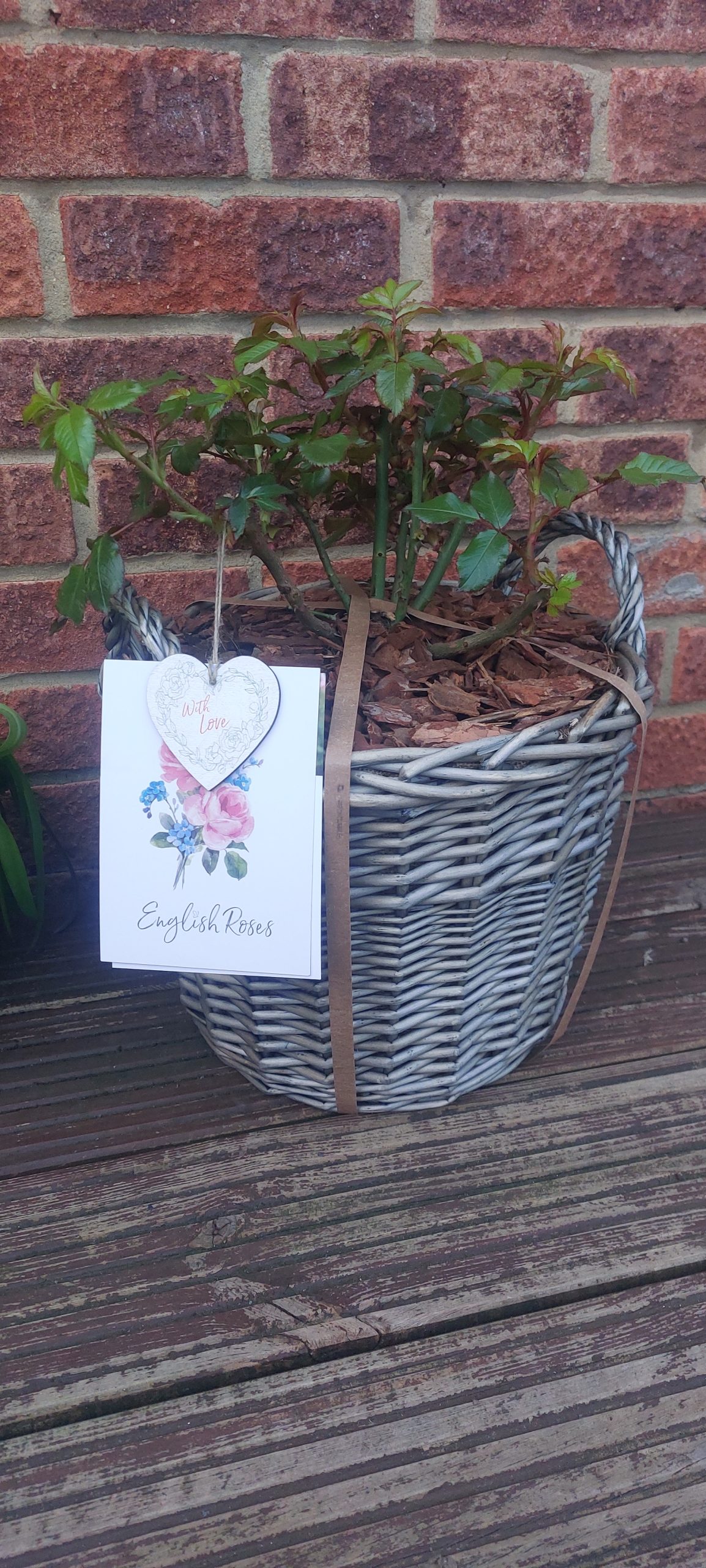 'English Roses' Greetings Card