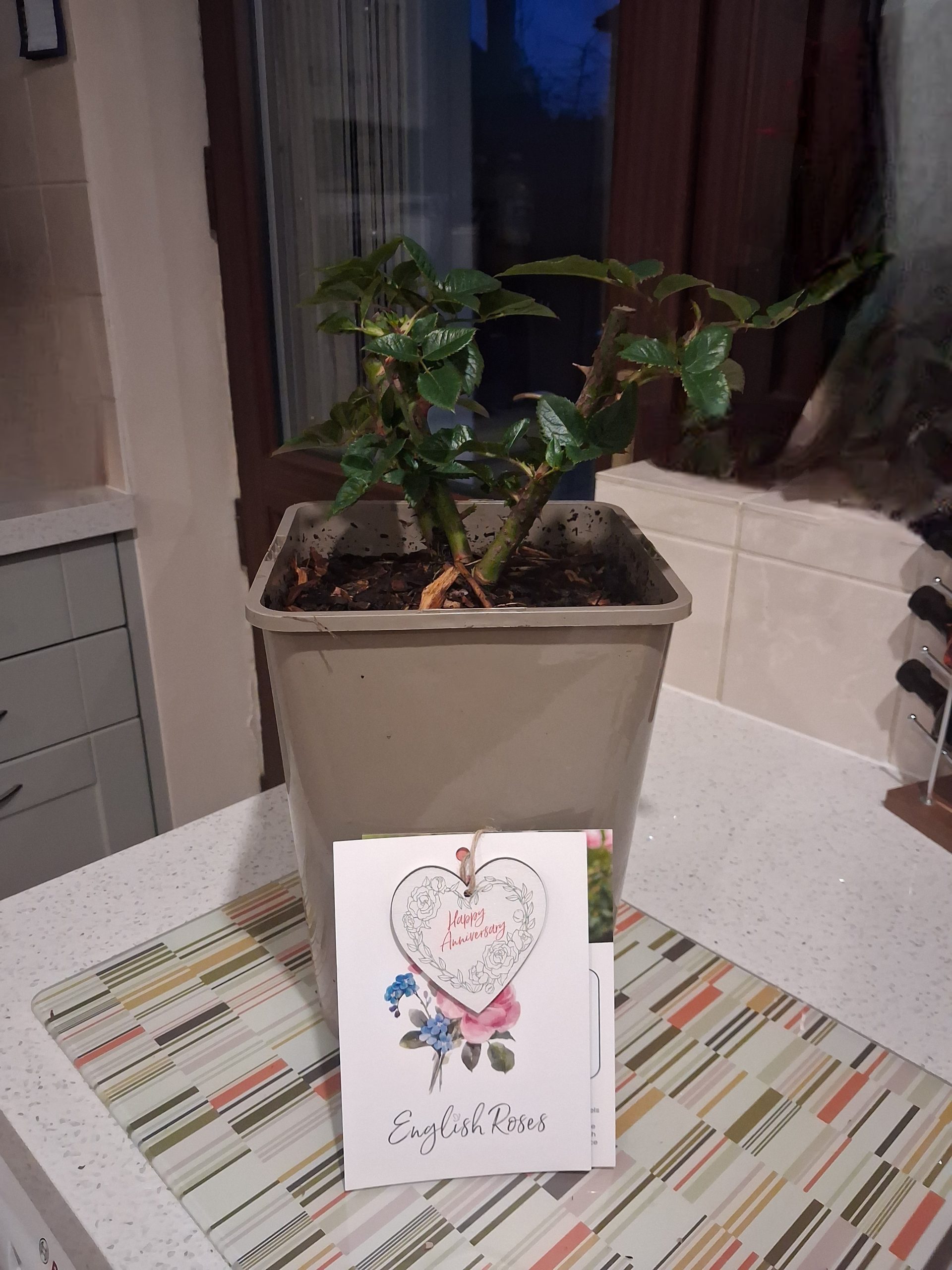 Happy Golden Wedding Rose - 50th Wedding Anniversary Gifts