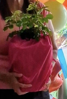 Fab @ 60 Rose - 60th Birthday Gift