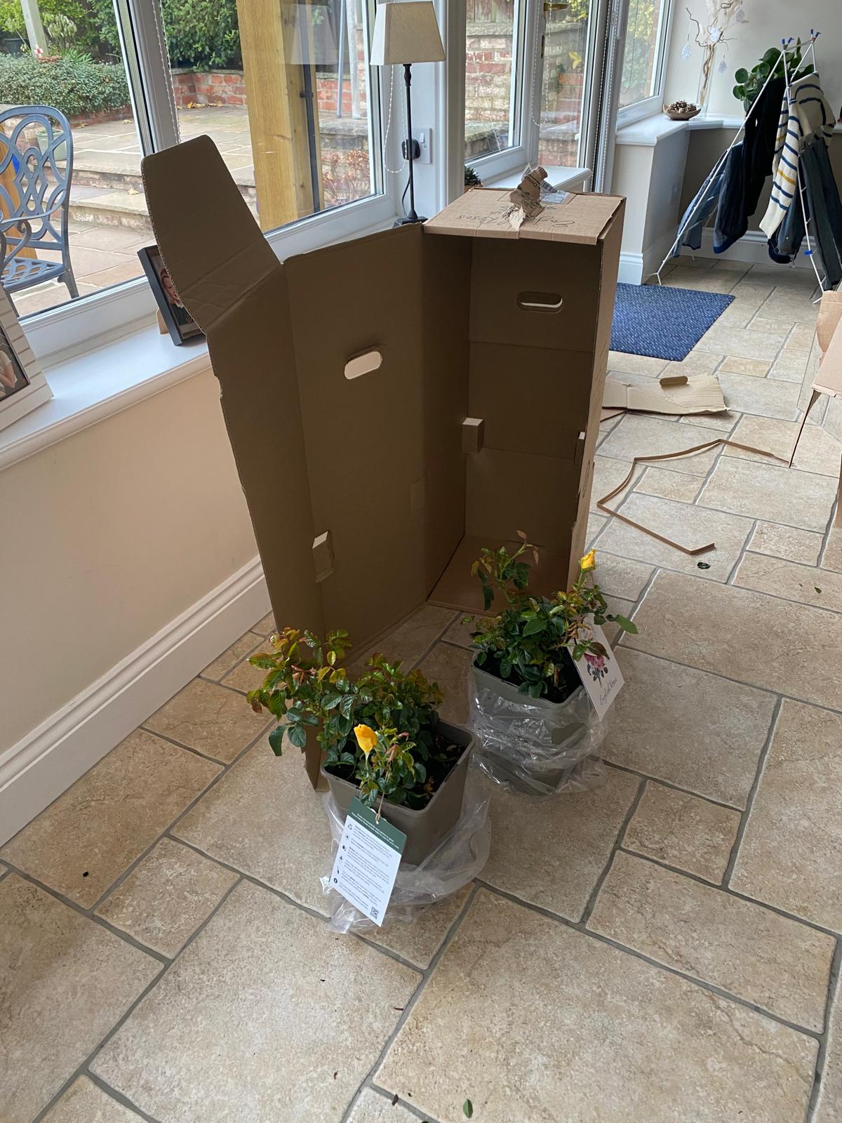 Happy Golden Wedding Rose - 50th Wedding Anniversary Gifts