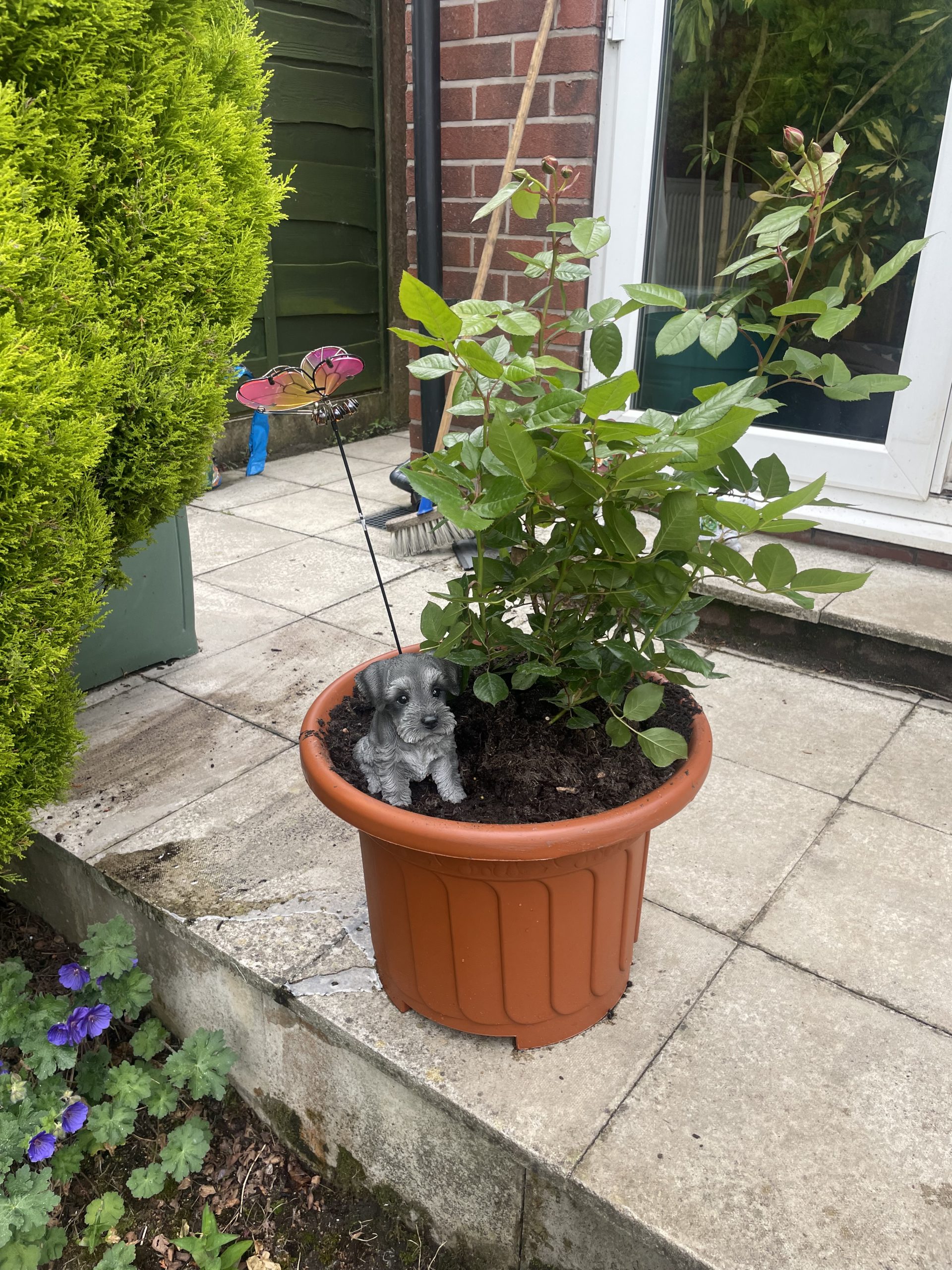 Mum in a Million Rose - Remembrance Gifts For Loss Of Mum