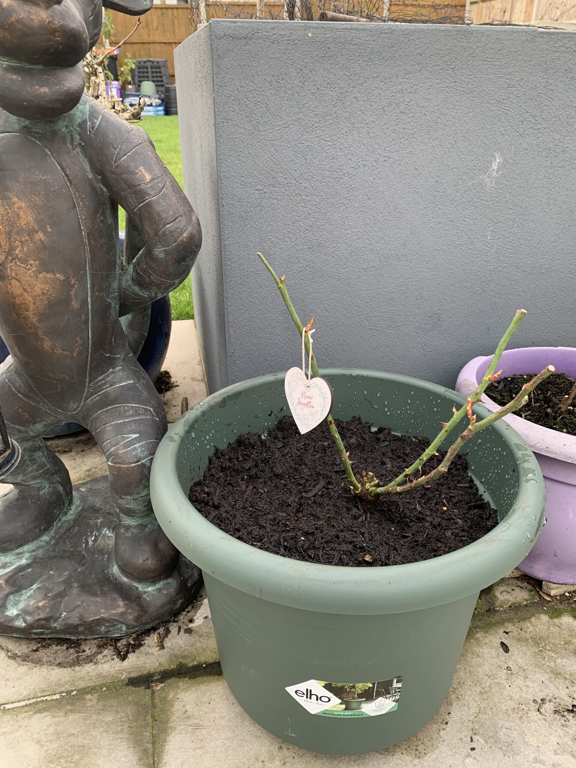 Forever In Our Hearts - English Roses Memorial Gift