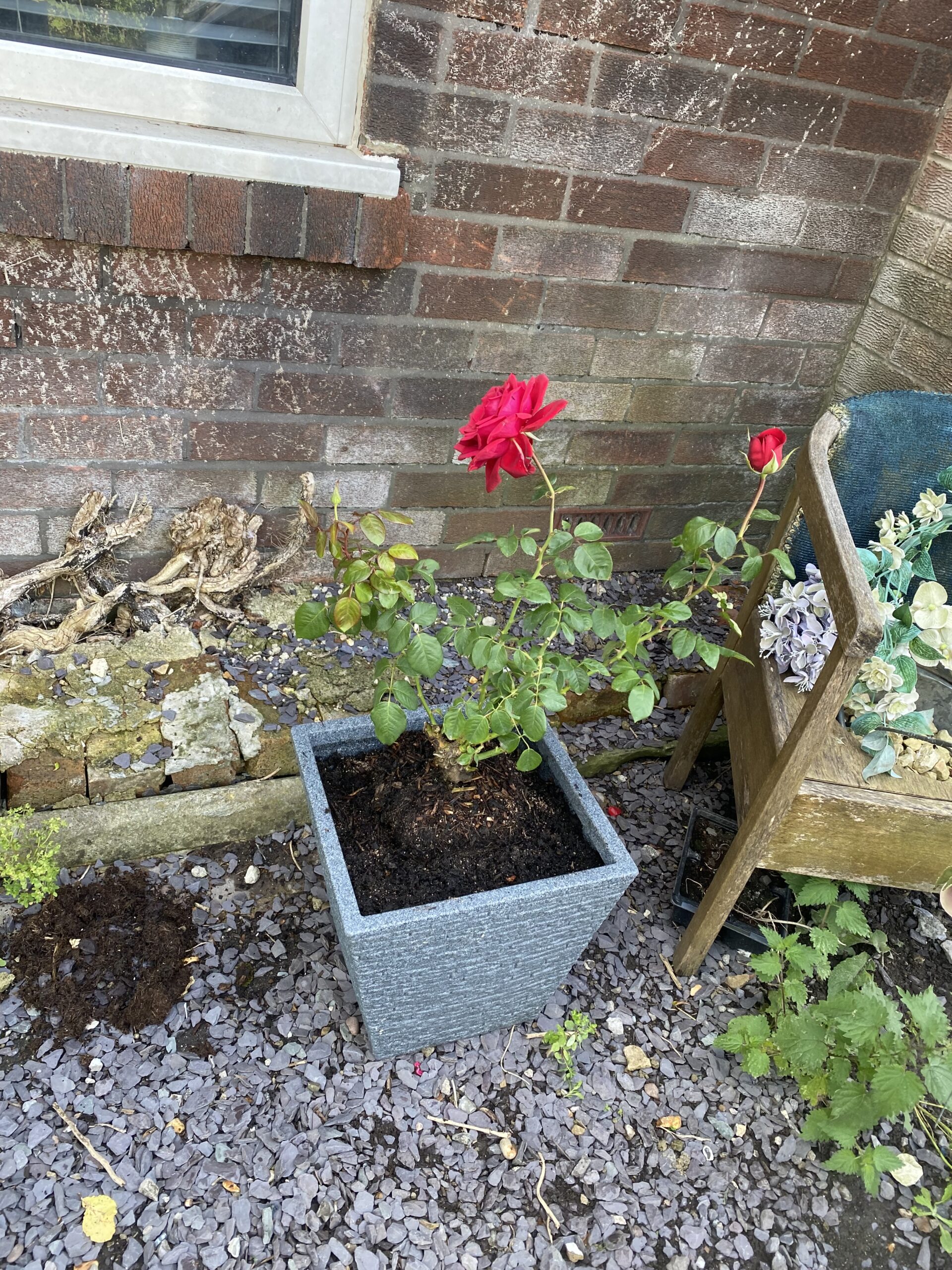 Loving Memory Rose - In Remembrance Gifts