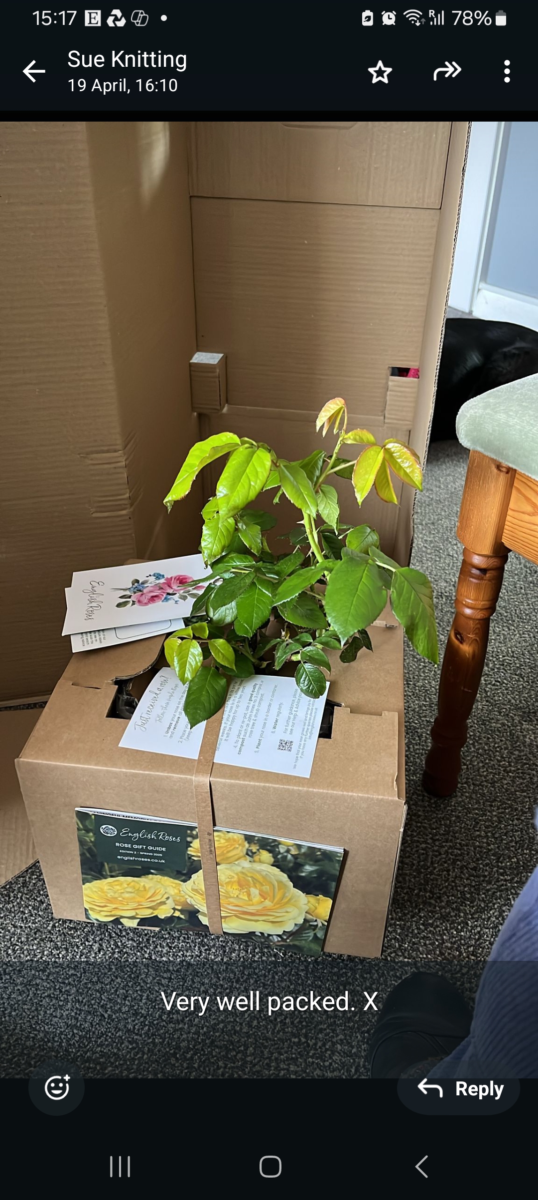 Happy Golden Wedding Rose - 50th Wedding Anniversary Gifts