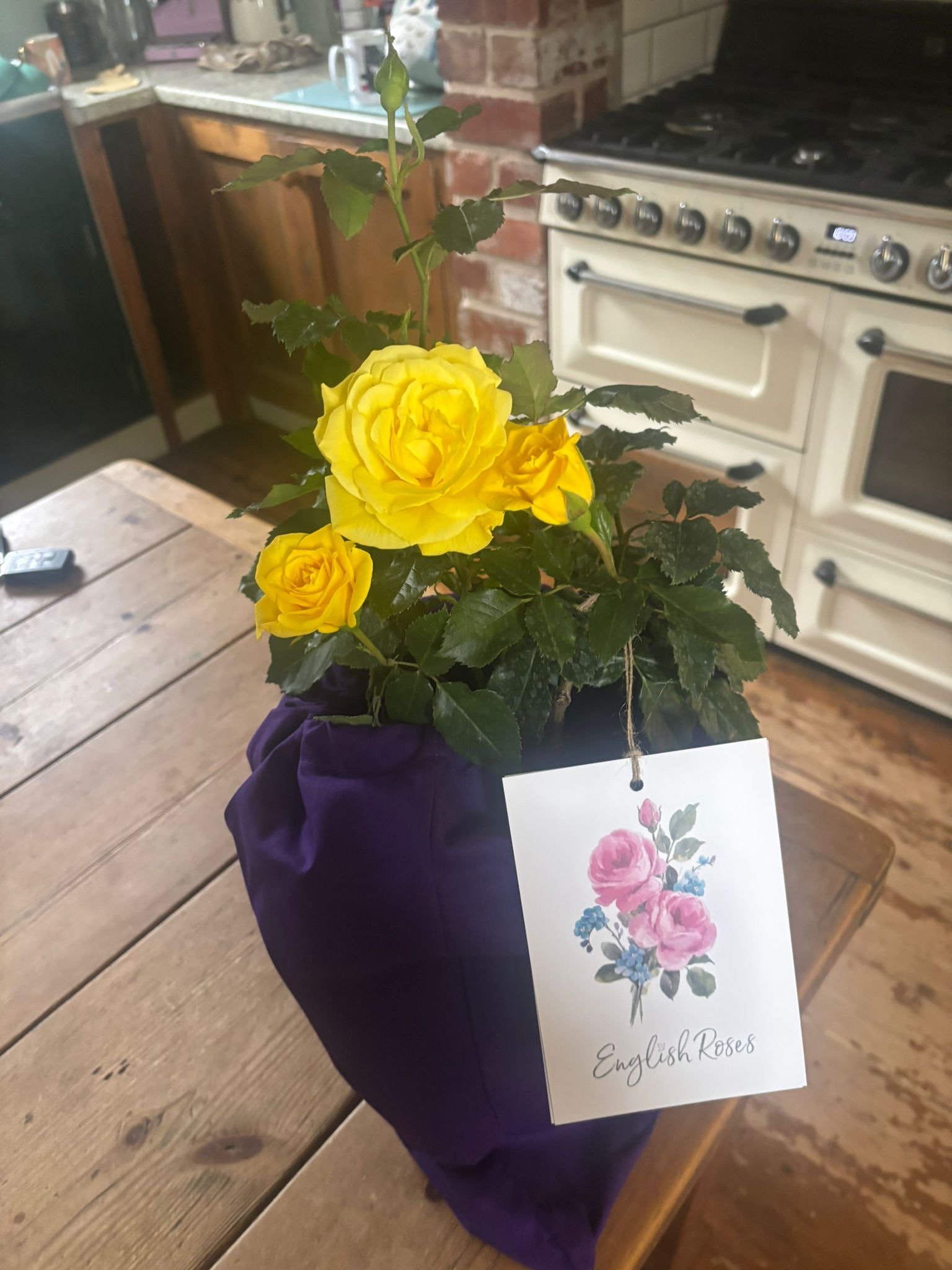A Memorial Rose For A Special Dad - English Rose Gift