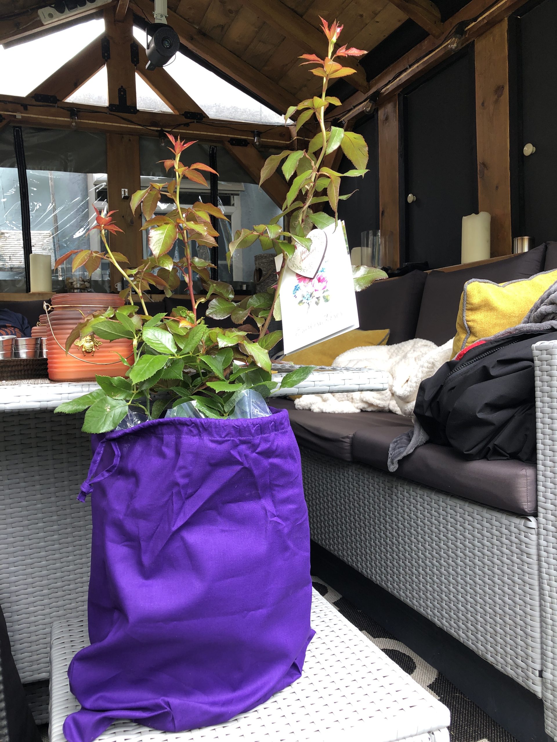 Silver Anniversary Rose - 25th Wedding Anniversary Gift