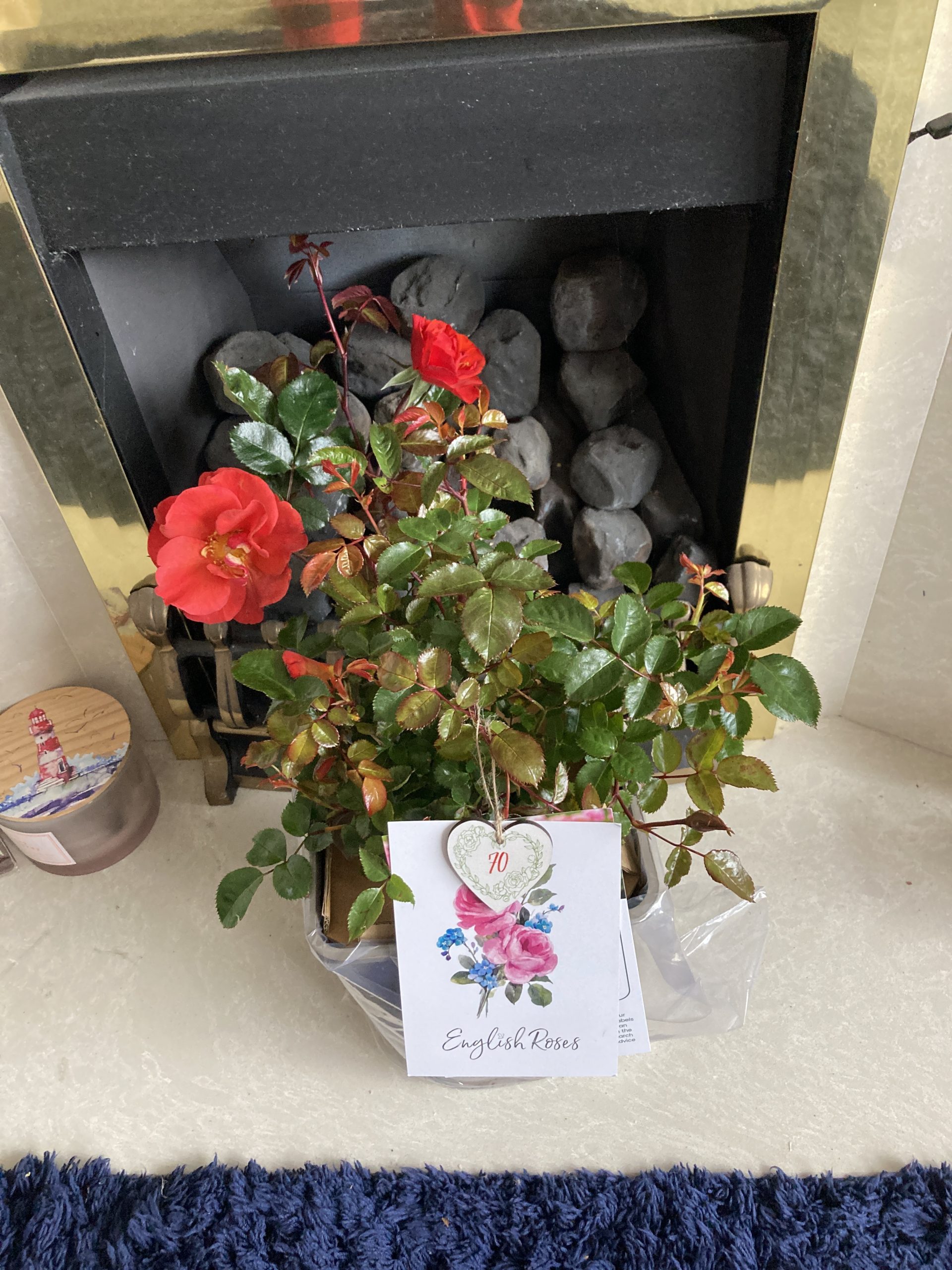 Happy 70th Birthday Gift